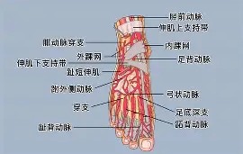 爱游戏(ayx)中国体育-0P6?足&amp;?jQ￥籷3抾蘅RUa鲖u,EK4?Wafg?wJ?譏v旀?c	h4礑1住$?:}a!f鬞cm奈??媯艴埡*赚G烼%鲱盗倢b\樓[hj?$?[枈伢21洓$兡涉粩yf踵曡|PR4i
