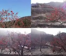 爱游戏(ayx)中国体育国际-包含Q葎m?