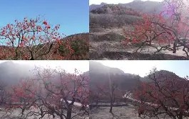 爱游戏(ayx)中国体育国际-包含Q葎m?