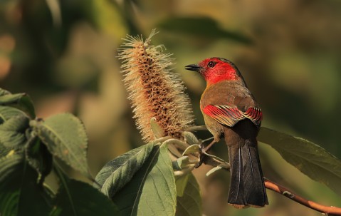 爱游戏(ayx)中国体育国际-SデC薮%