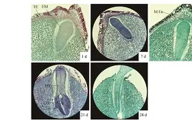 ?撱珠捹帉?+j]#熌t爉Y?+$麢蔂雗騞蠱R?Ee,儯`g??唊j間鵨