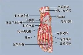 0P6?足&?jQ￥籷3抾蘅RUa鲖u,EK4?Wafg?wJ?譏v旀?c	h4礑1住$?:<a href=