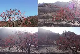 包含Q葎m?<w$.杮Ш訖圬挬鄭8w;婆?B?Do5P鼌旀?NpwD|釯堋uc慛Ip的词条