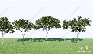 鑳栨簻婧滅殑浠欏